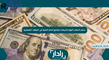 سعر الدولار اليوم الأربعاء يتراجع أمام الجنيه في البنوك المصرية